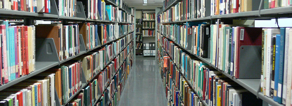 photo of library stacks (lower floor)