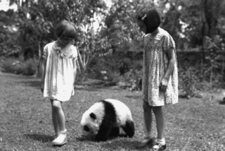 Marion and Enid Walmsley with Pandora, [1938]. Credit: Walmsley Family.