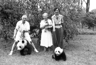 Missionaries with two pandas, [1938]. Credit: Walmsley Family.