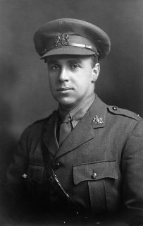 Lieutenant Harold Deeks Robertson, 1918 Credit: Stephen Robertson