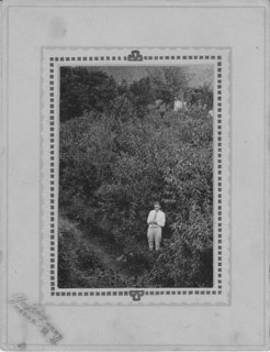 Mr Bridgman in his nursery in Penghsien Credit: Bridgman Family.